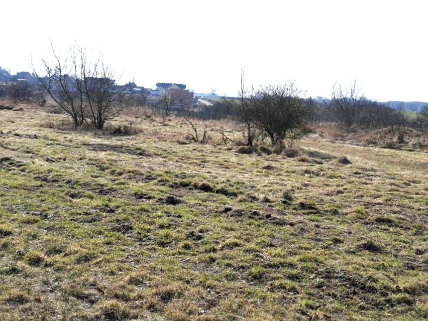 Działka Rumianek
