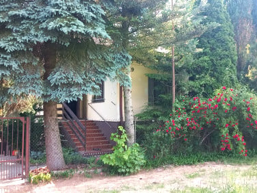Dom Marianów Kołacki