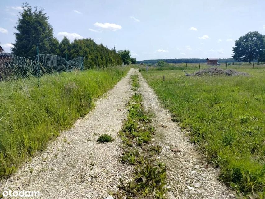 Zdjęcie 2
