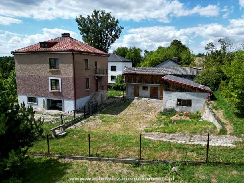 Zdjęcie 3