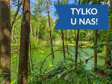 Działka siedliskowa Omięciny
