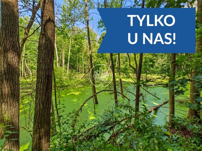 Działka siedliskowa Omięciny