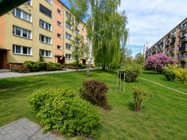 Mieszkanie Kalisz