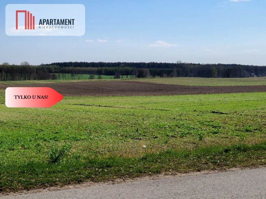 Działka budowlana Rogowo