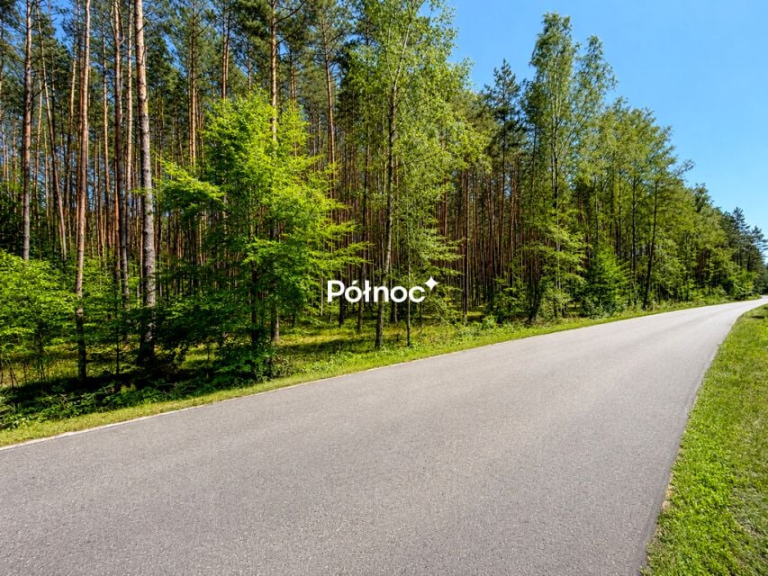 Zdjęcie 3