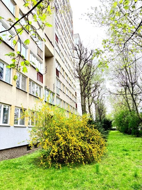 Mieszkanie Wrocław
