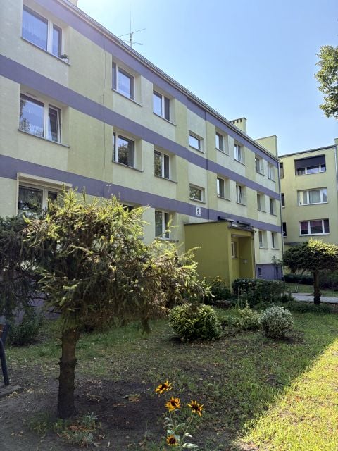 Mieszkanie Międzychód