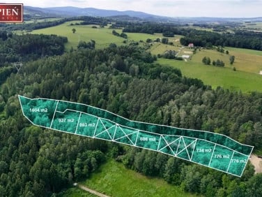 Działka inwestycyjna Wojcieszyce