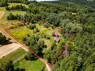 Dom Jawornik