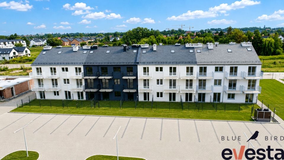 Zdjęcie 3