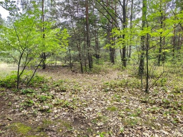 Działka Sokolniki-Las