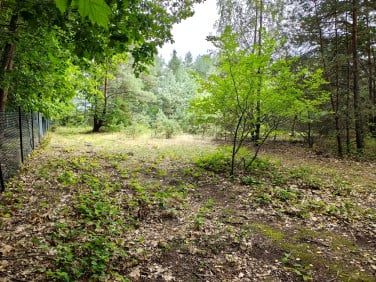 Działka budowlana Sokolniki-Las