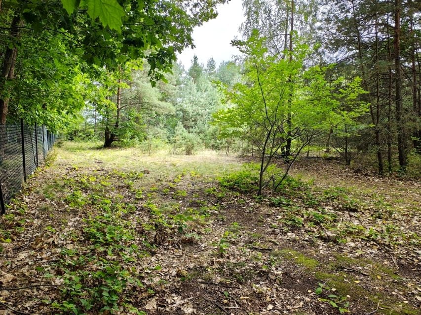 Działka budowlana Sokolniki-Las
