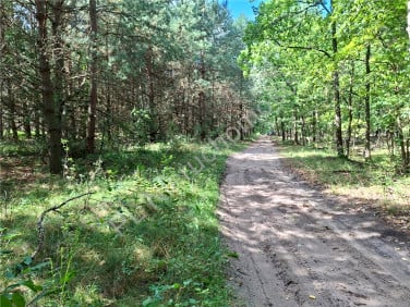 Działka budowlana Gójszcz