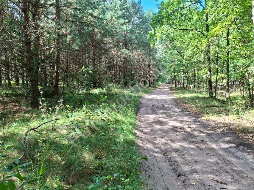 Działka budowlana Gójszcz