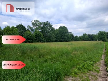 Działka budowlana Stara Huta