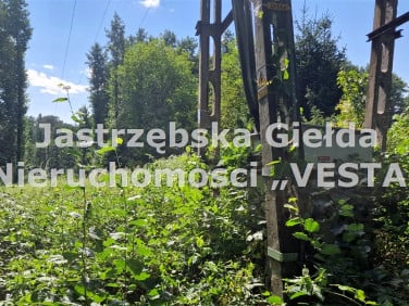 Działka usługowa Mszana
