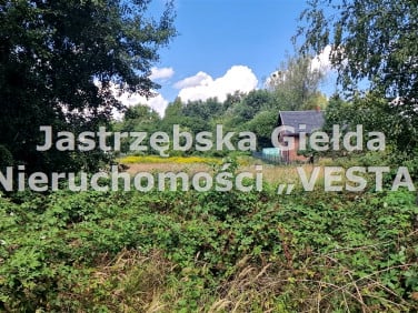 Działka usługowa Mszana