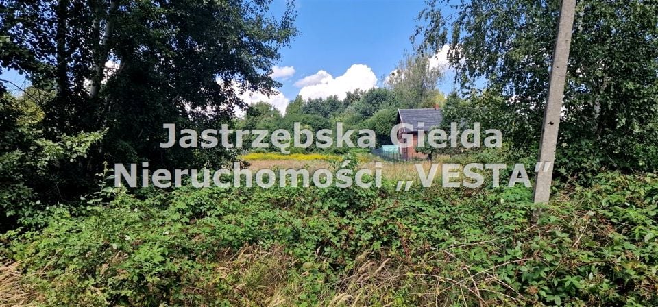 Działka usługowa Mszana