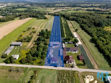 Dom Linów 180