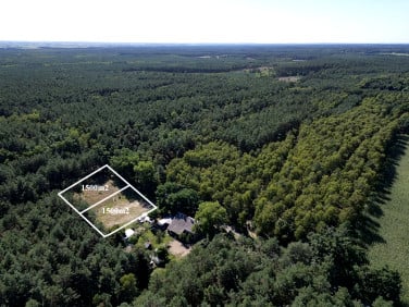 Działka budowlana Dąbrowa Mała