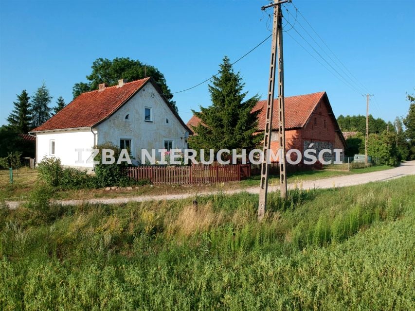Zdjęcie 2