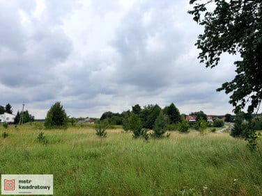 Działka przemysłowa Małe Pułkowo