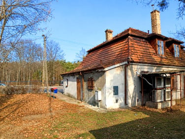 Lokal Kobylnica