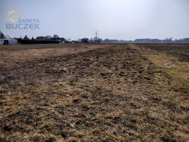 Działka budowlana Skarbikowo