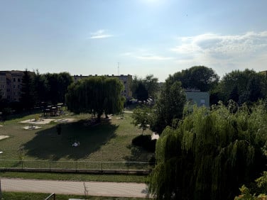 Mieszkanie Łuków