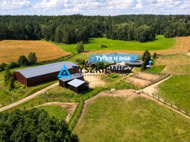Lokal Goszyn