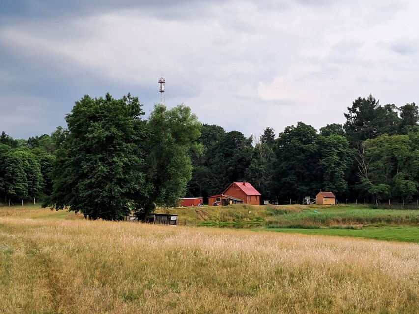 Działka rolna sprzedam