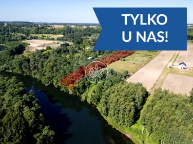 Działka rolna Tryszczyn