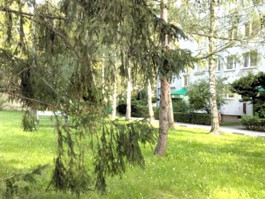 Mieszkanie Wrocław