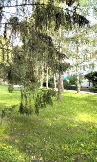 Mieszkanie Wrocław