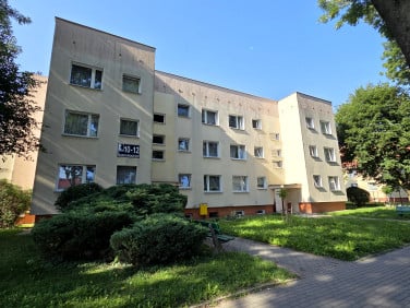 Mieszkanie Malbork
