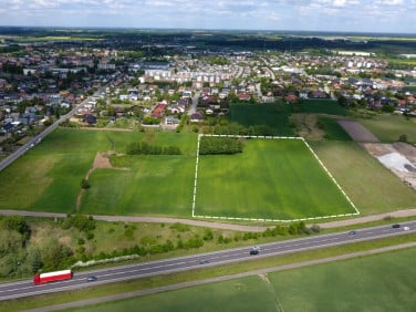 Działka usługowa Pniewy