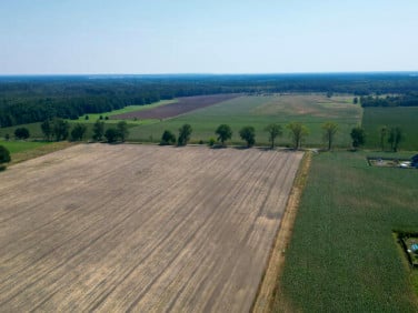 Działka budowlana Kały