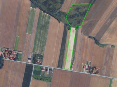 Działka inna Miechów