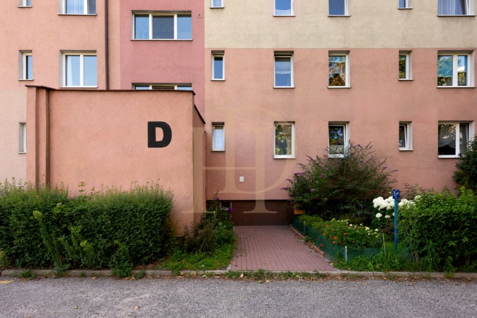 Zdjęcie 3