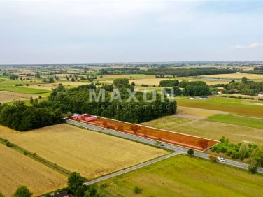 Działka Ogrodzona