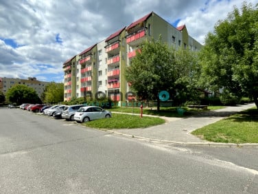 Mieszkanie przy lesie