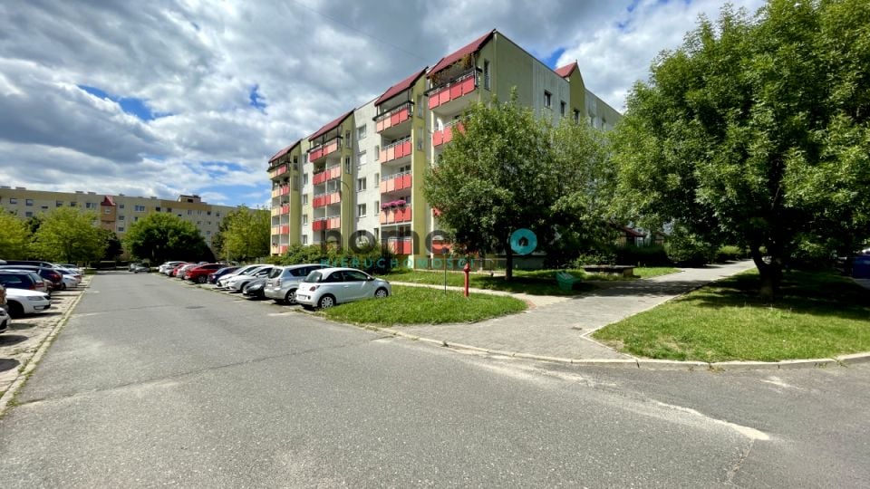 Mieszkanie przy lesie