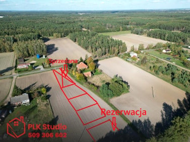 Działka Graby