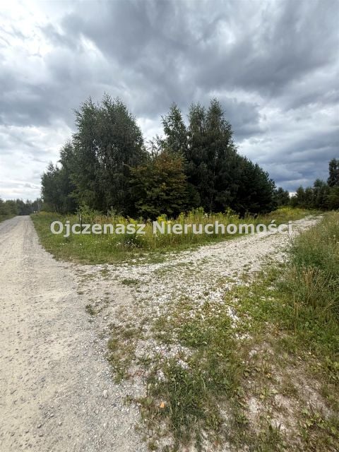 Zdjęcie 3