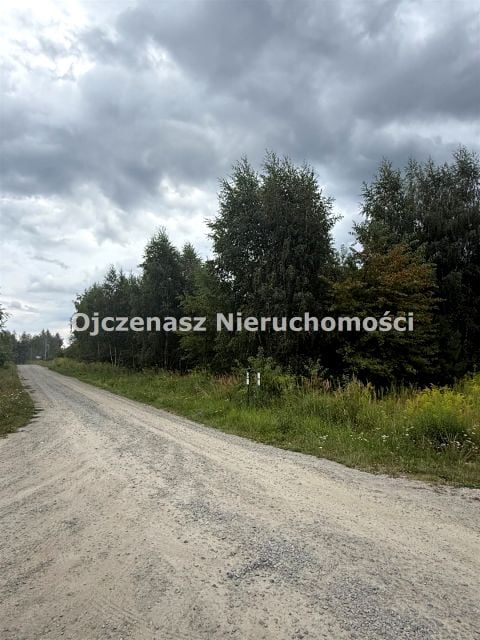 Zdjęcie 2