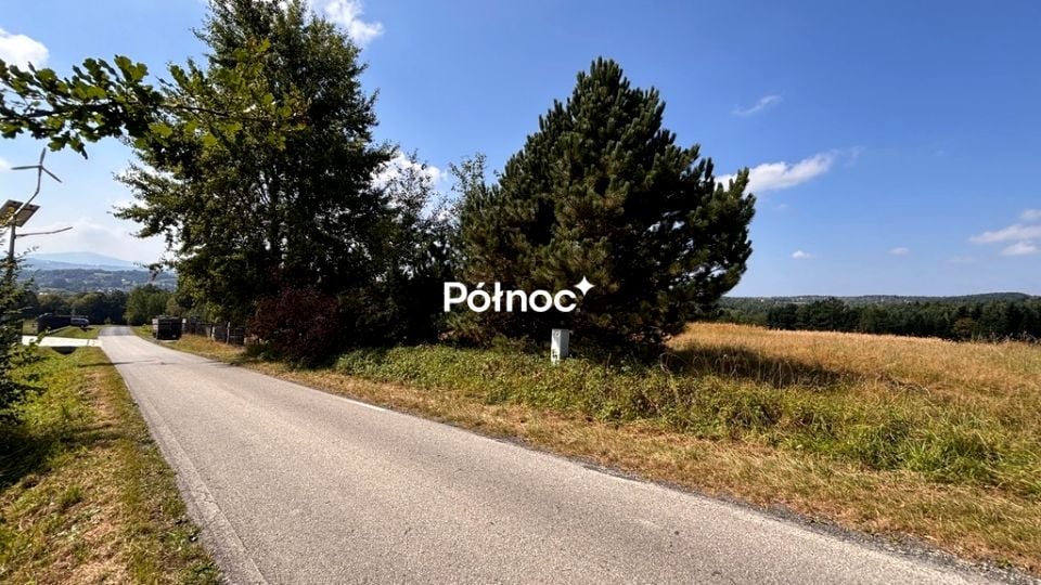 Zdjęcie 3