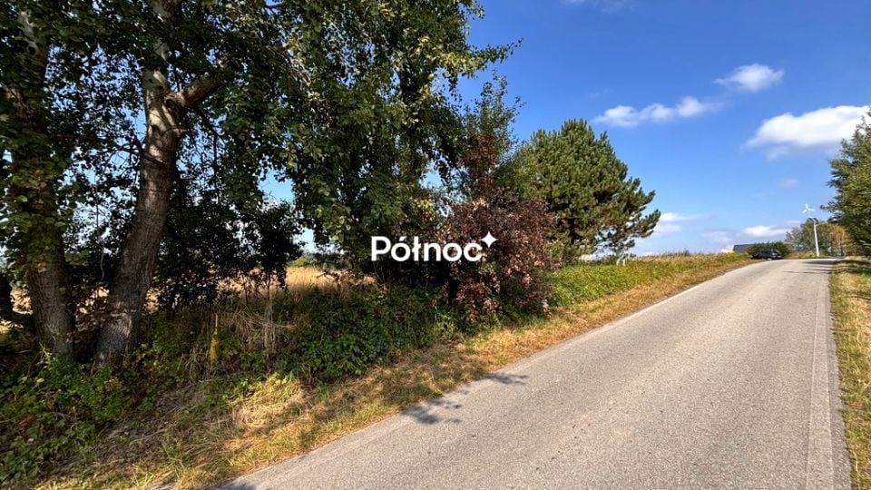 Zdjęcie 2