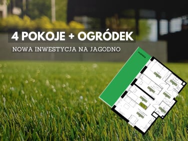 Mieszkanie Iwiny