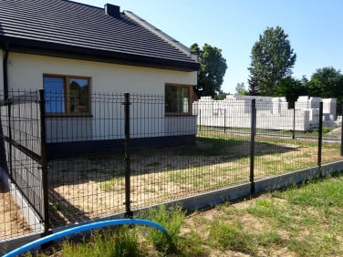 Dom Drężewo